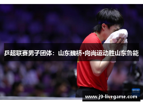 乒超联赛男子团体：山东魏桥·向尚运动胜山东鲁能